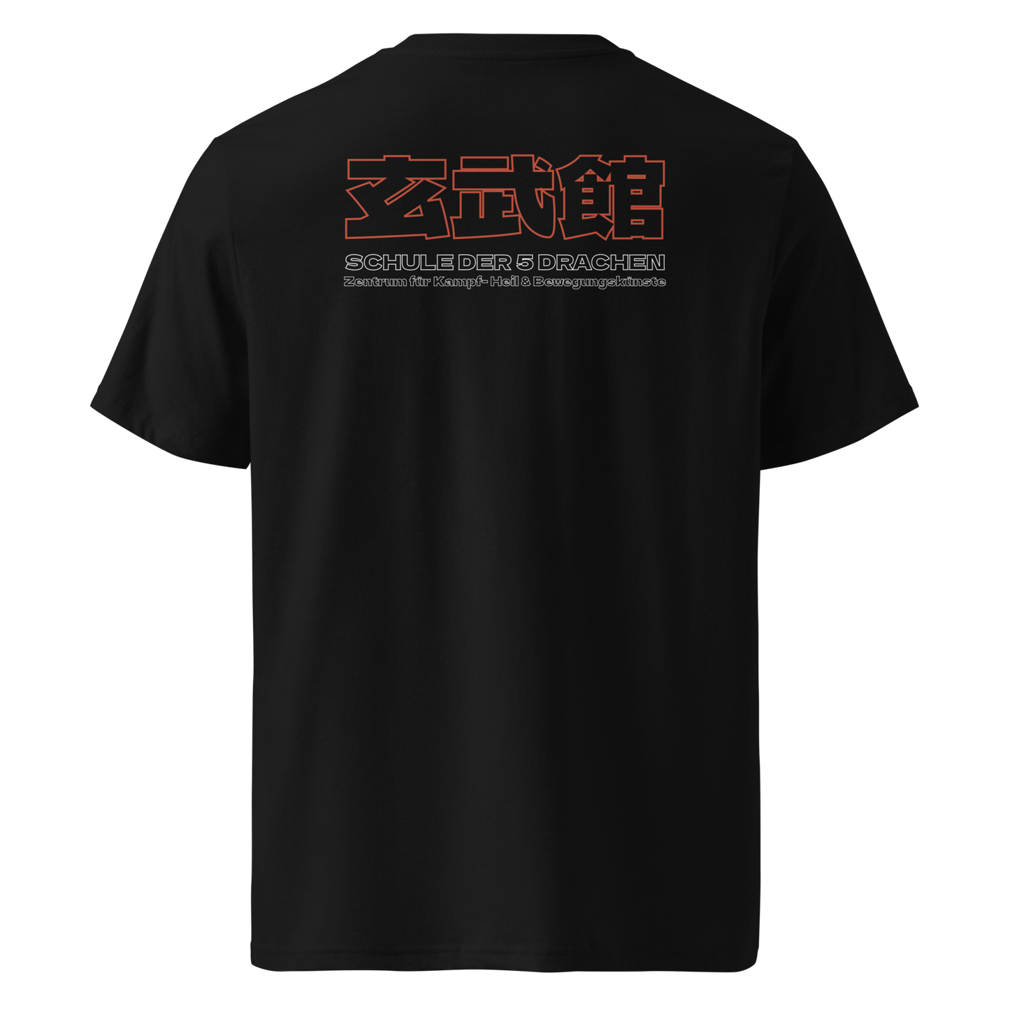 Schule der 5 Drachen - 5